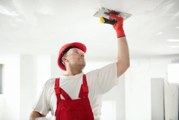 Best Remodeling Drywall  in Big Bear Lake, CA